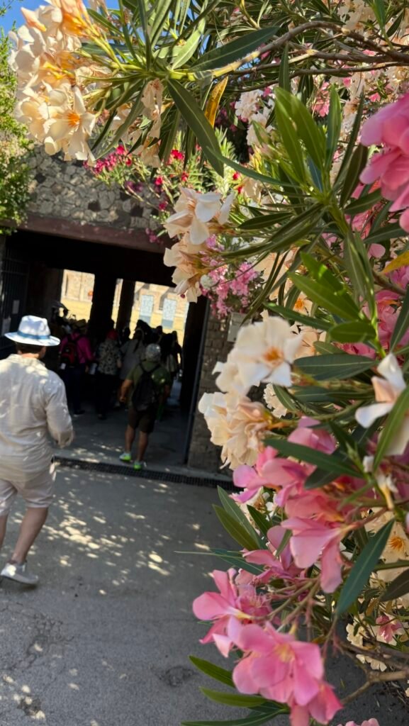 Costa Amalfitana bem vivida: quando a viagem deixa de ser destino e vira memória